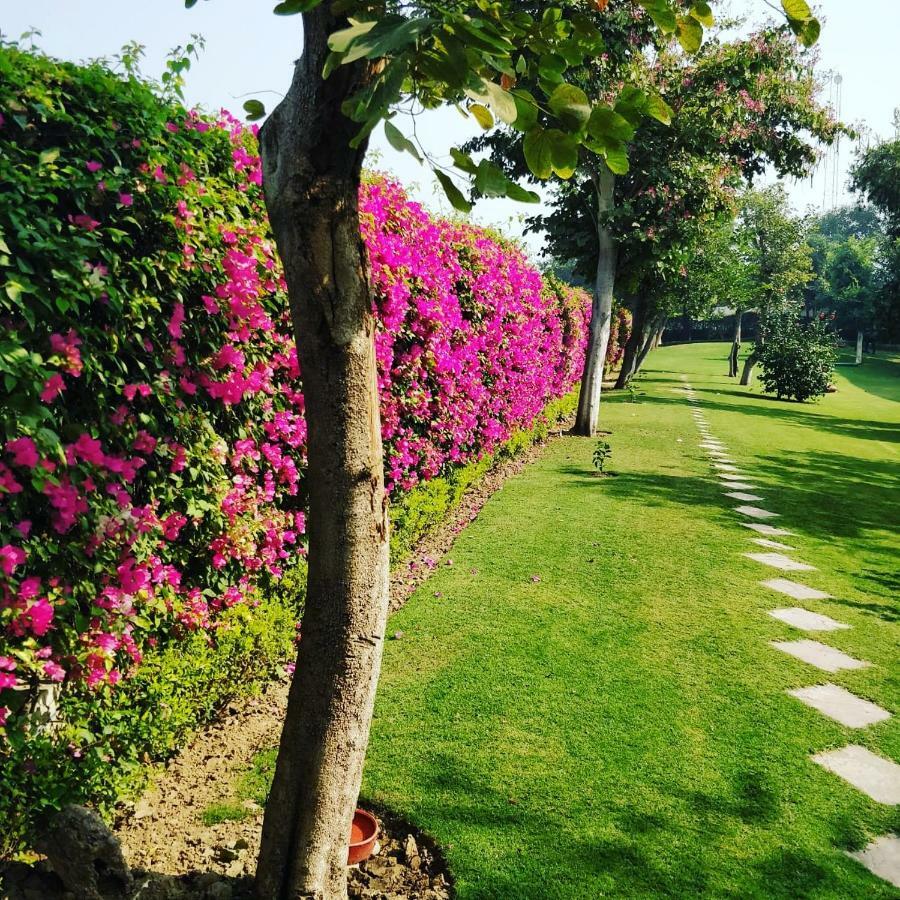 Trident Agra Hotel Agra  Exterior foto The campus